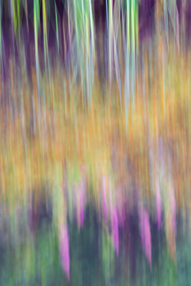 Reflections 4 Photography Art | Mario Cornacchione