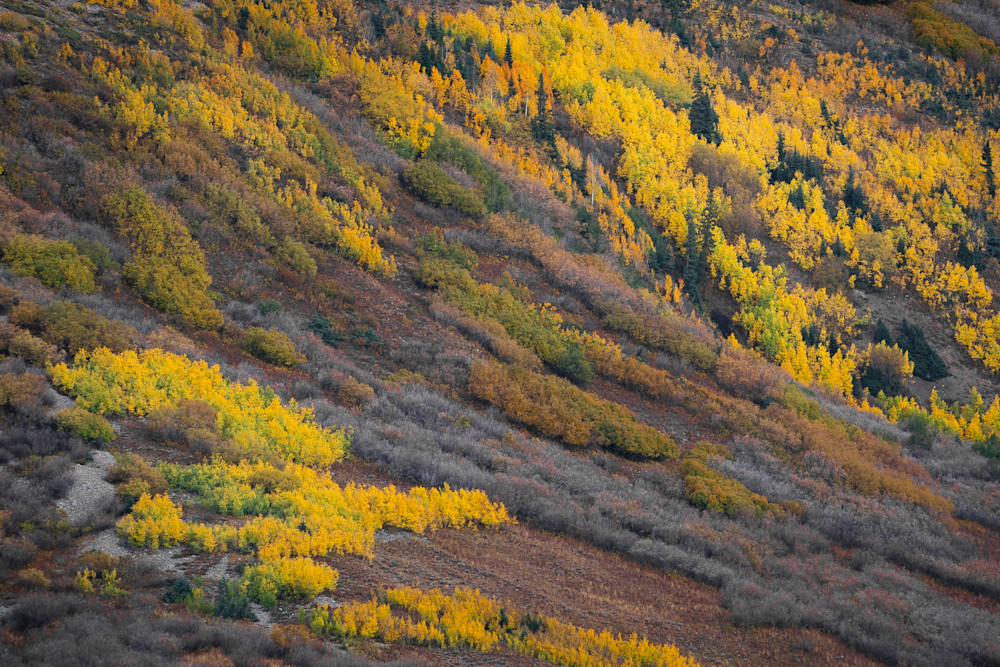 Crested Butte 2 Photography Art | Mario Cornacchione