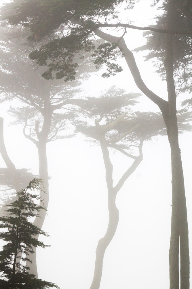 Morning At Lands End, 2012 Photography Art | suziebiehler