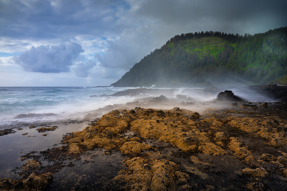 Oregon Coast 11 Photography Art | Mario Cornacchione