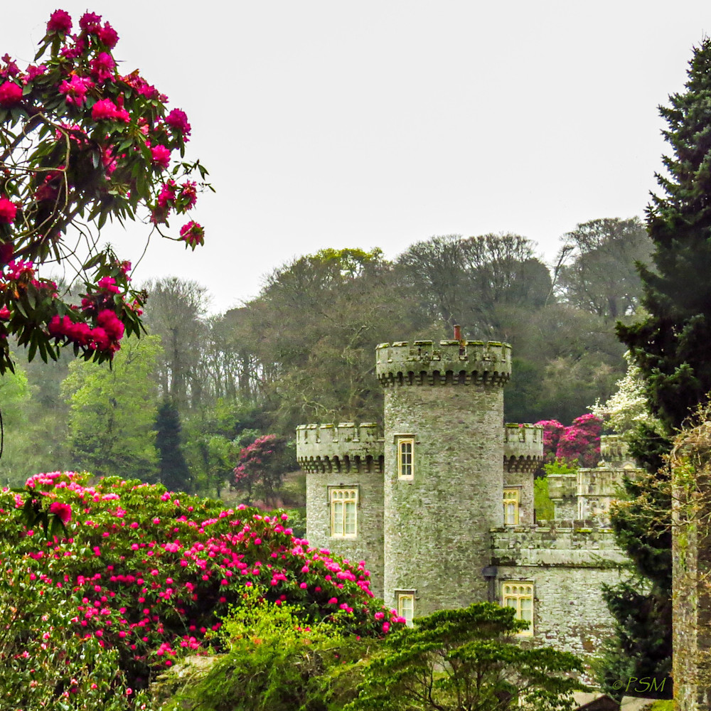 Gardens Around the World - Rhododendrons at Caerhays Castle in England