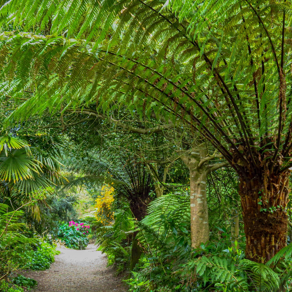 Gardens Around the World - Path in Heligan Lost Garden in England