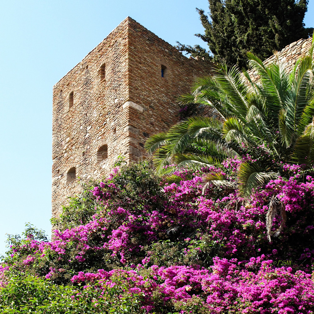 Gardens Around the World - Flowers at Malaga Fortress in Spain