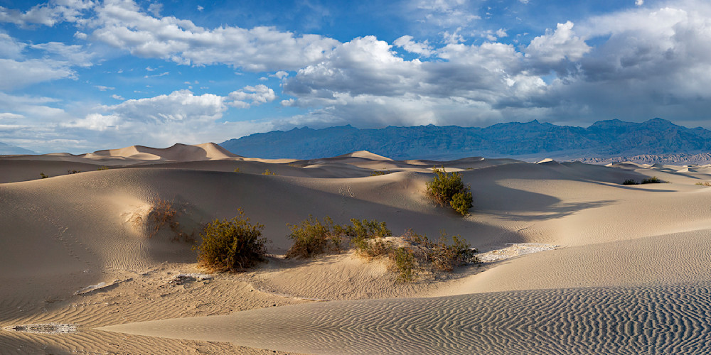 9527 Mesquite Flat Dunes, Death Valley, Ca Photography Art | Cunningham Gallery