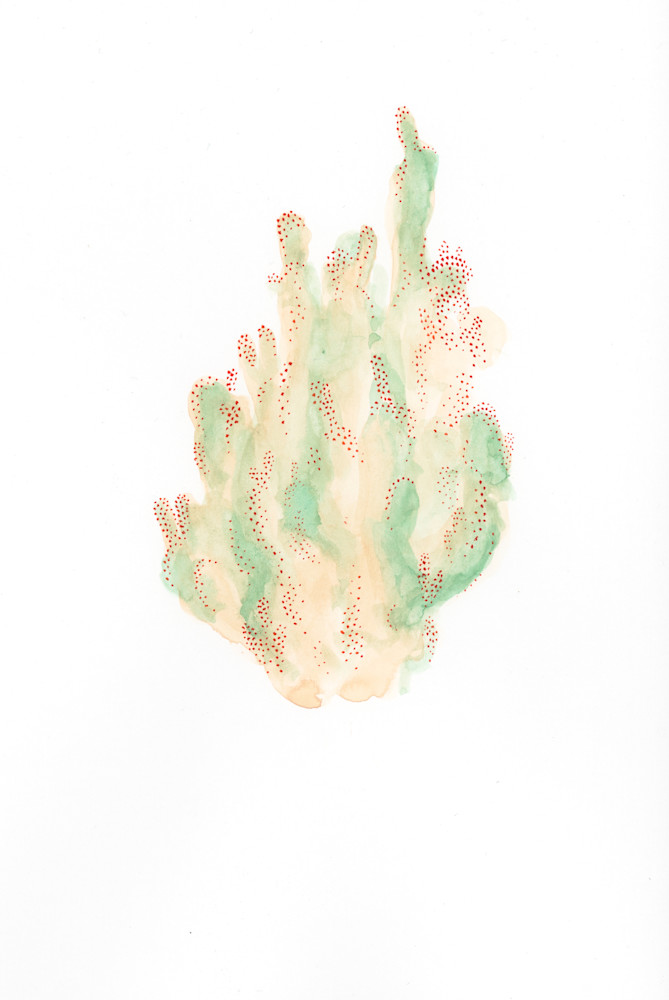 Cactus 5 Art | Megan McManus Art