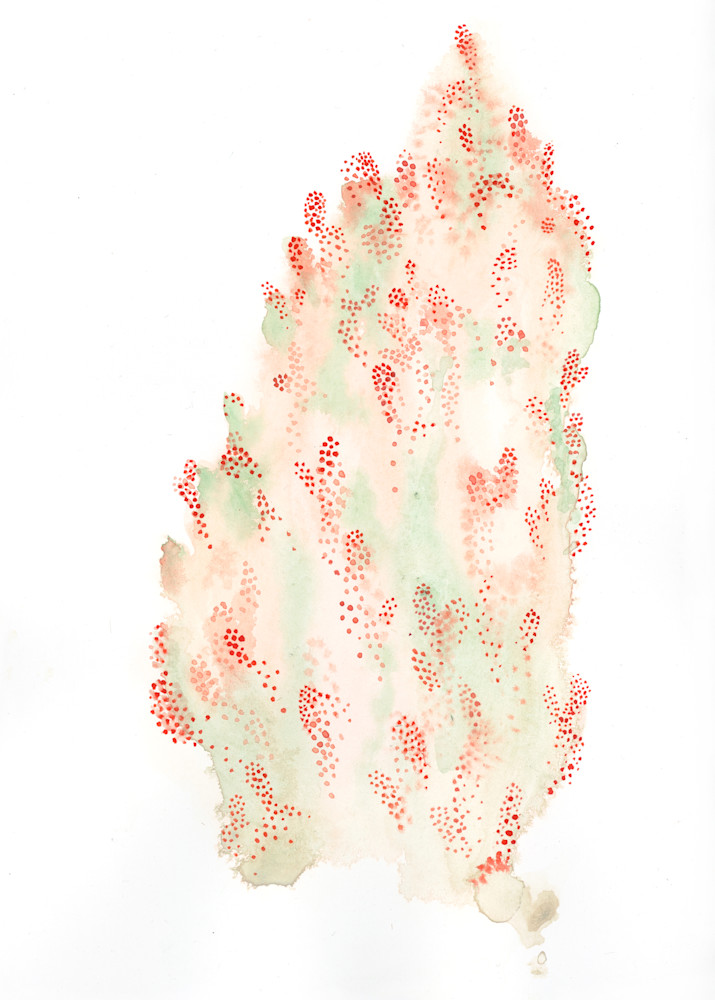 Cactus 7 Art | Megan McManus Art