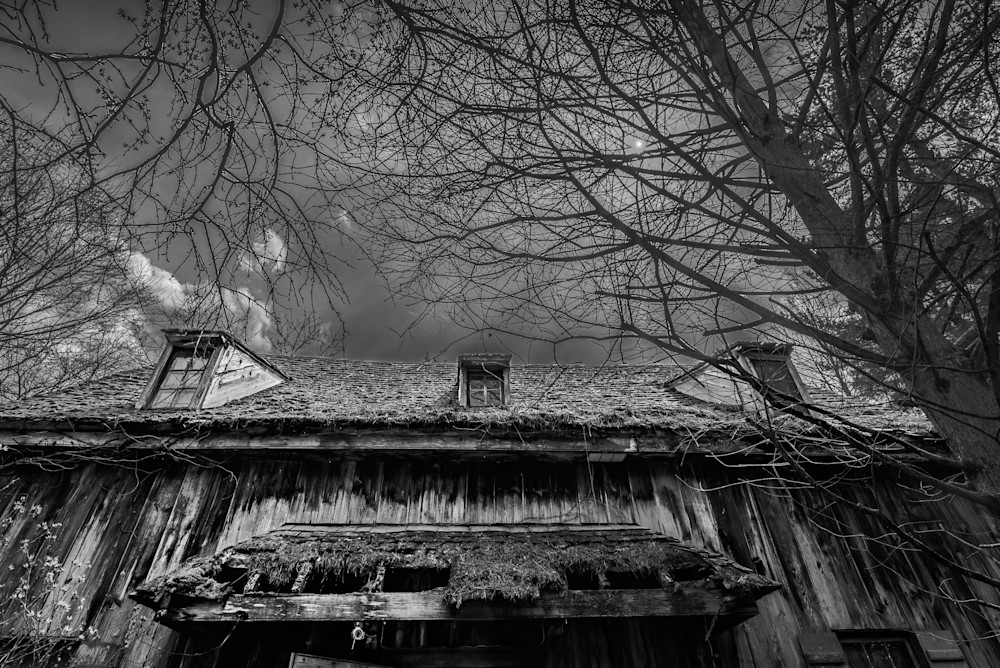 Dsc 52 Photography Art | Gandhi Hurwitz Photography