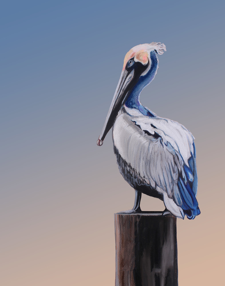 The Pelican   Album Background Art | Thom Shepherd Art