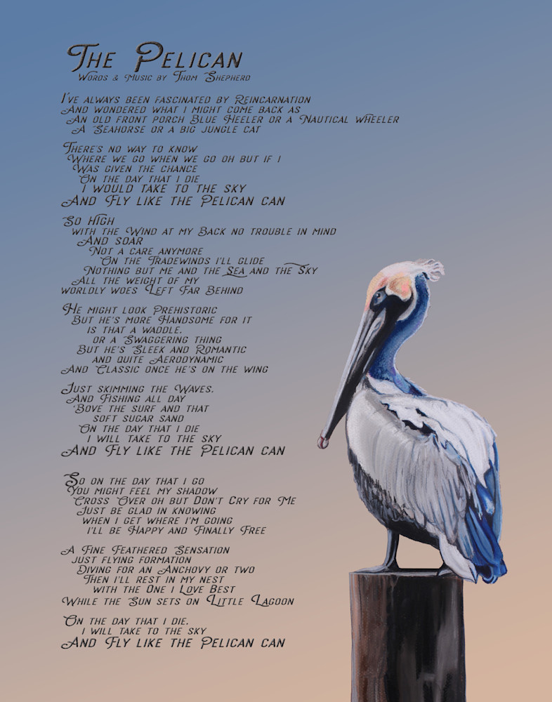 The Pelican   Lyric Art  Art | Thom Shepherd Art
