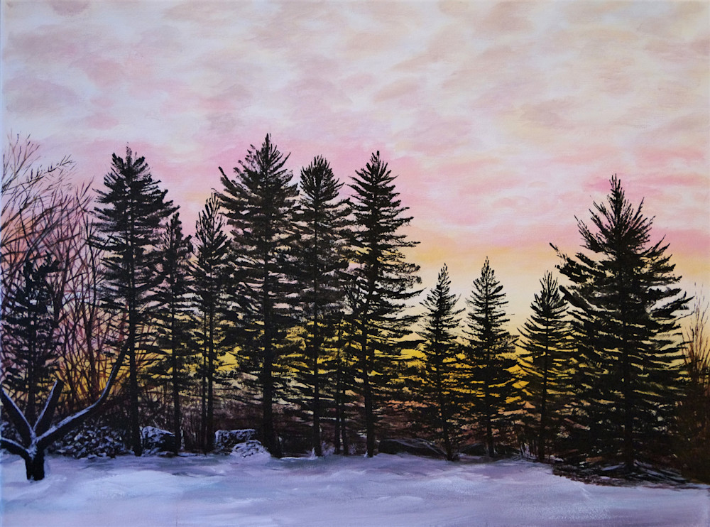 Sunrise Clouds Pine Trees Winter