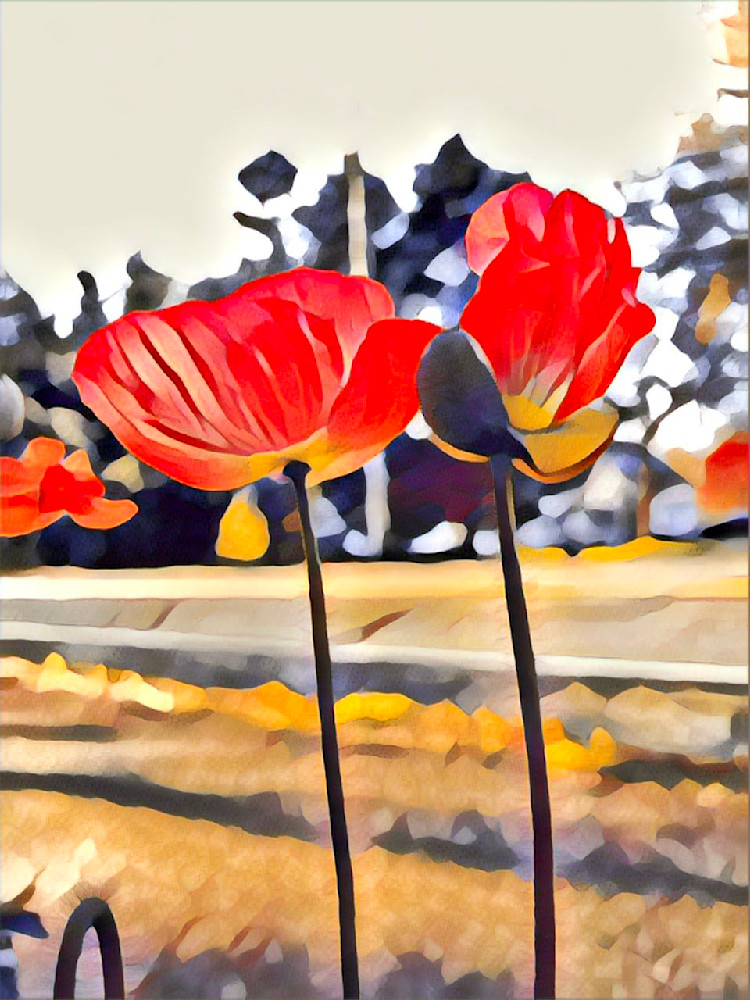 Edited in Prisma app with Gothic