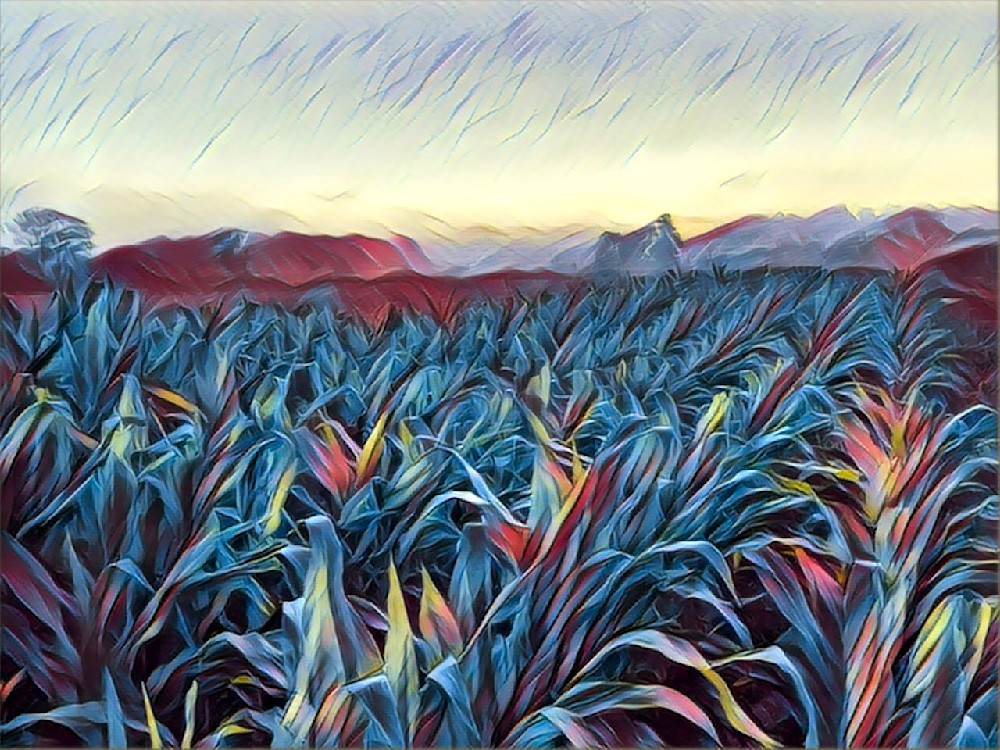 Edited in Prisma app with Surf