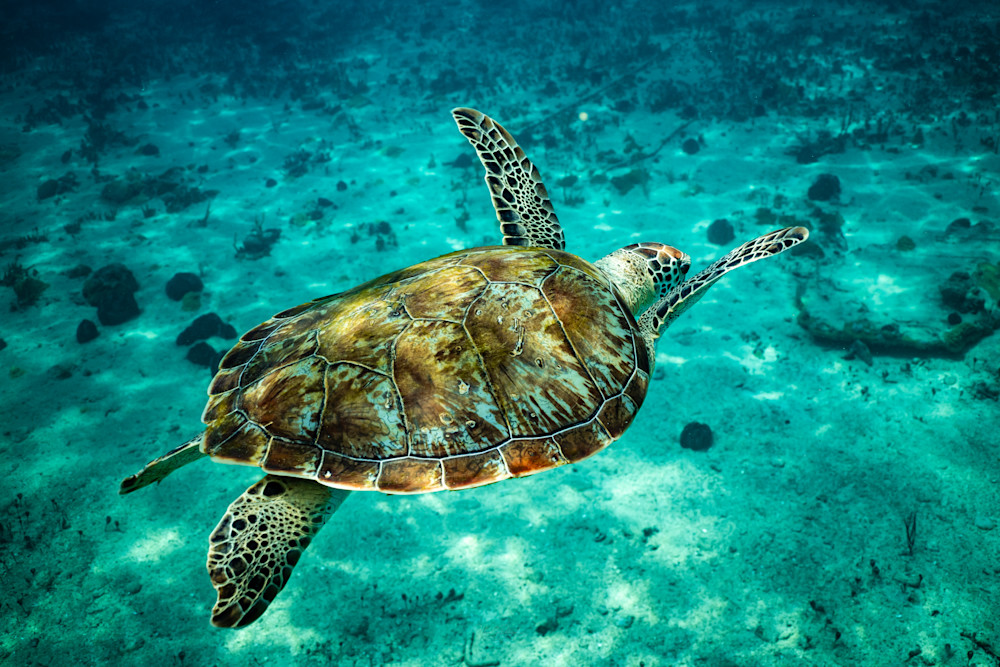 Stretching Out Photography Art | Vitamin Sea Photography