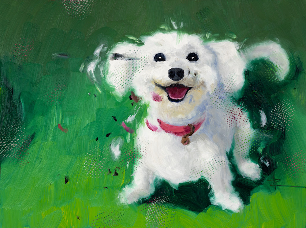 20220614 Fluffy White Puppy  Art | Rich Wilkie inc
