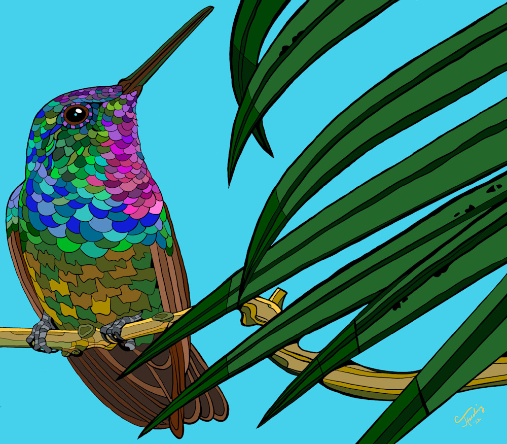 Ruby Throated Hummingbird - Blue Background