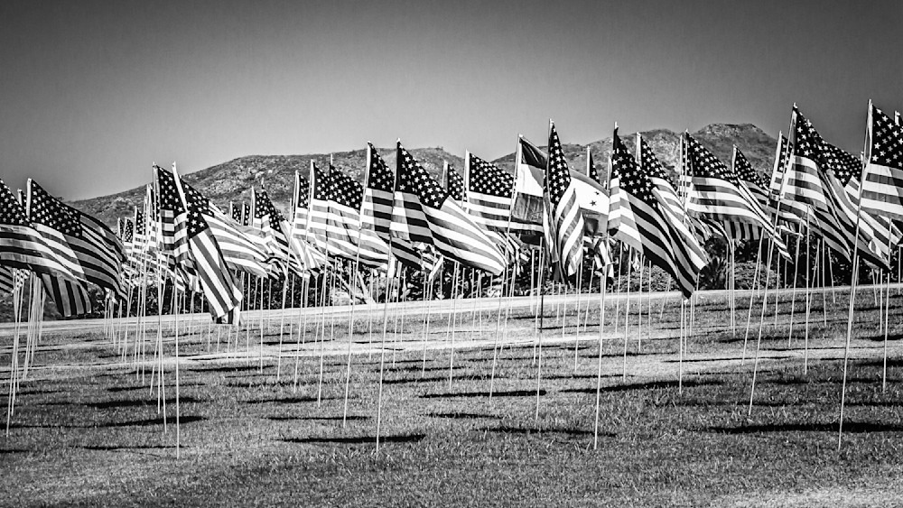 Flags of the USA -B&W