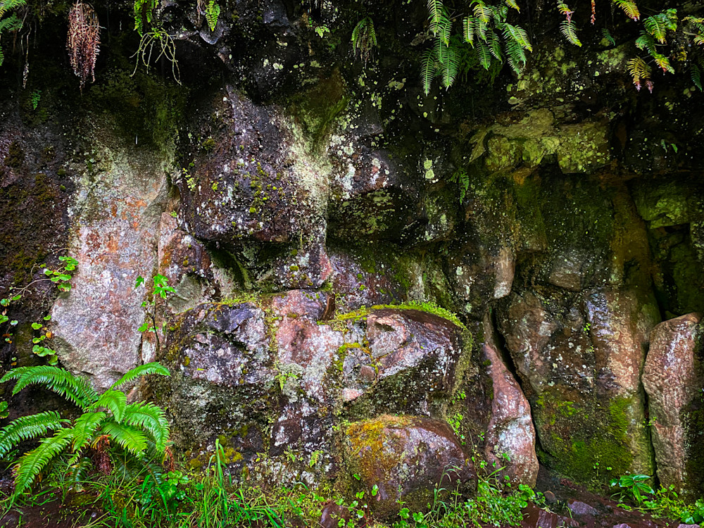 A mossy wall of rock lines a hiking trail in Silver Falls State Park, Oregon.