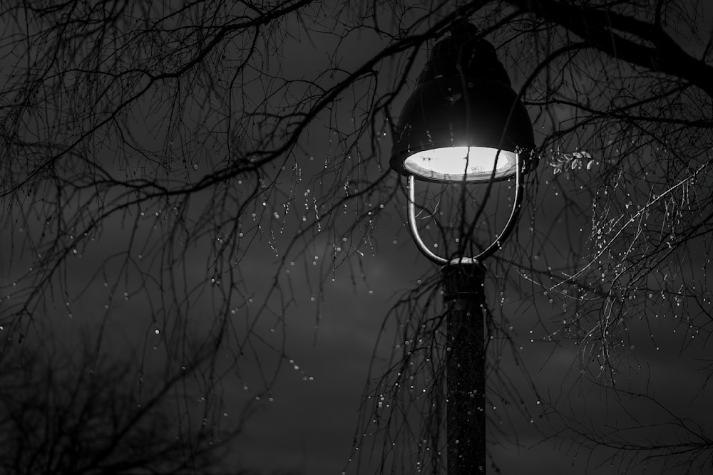 Post Rain Sparkle Photography Art | davehatton