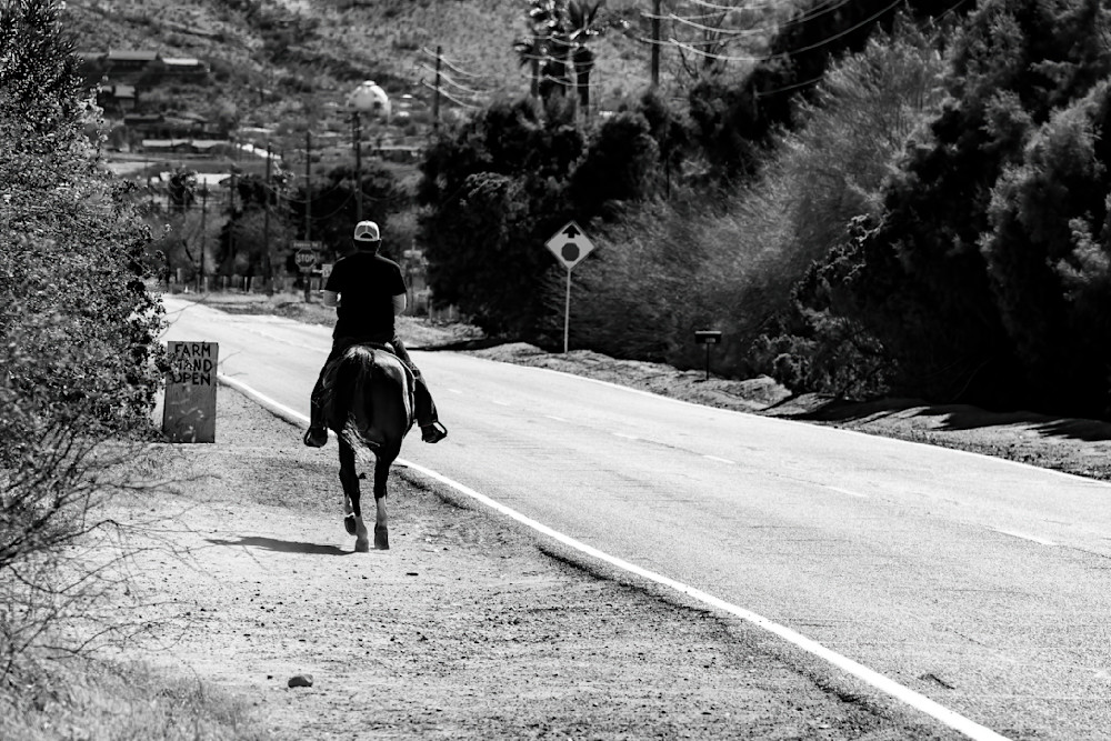 Urban Cowboy 1 Photography Art | davehatton