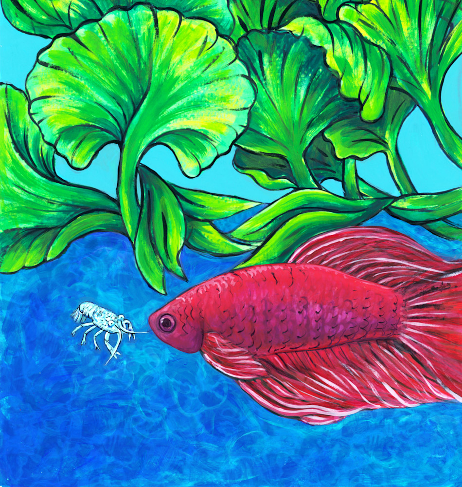 Redfish Merch Art | Hava Gurevich Art