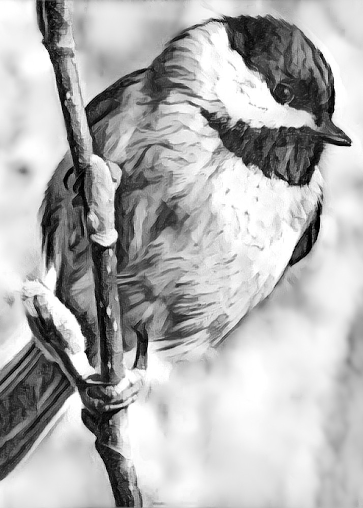 Chickadee 4 Art | Art by Virginia Crowe