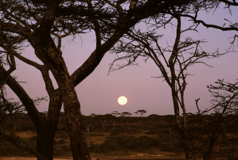 Moonset, Tanzania