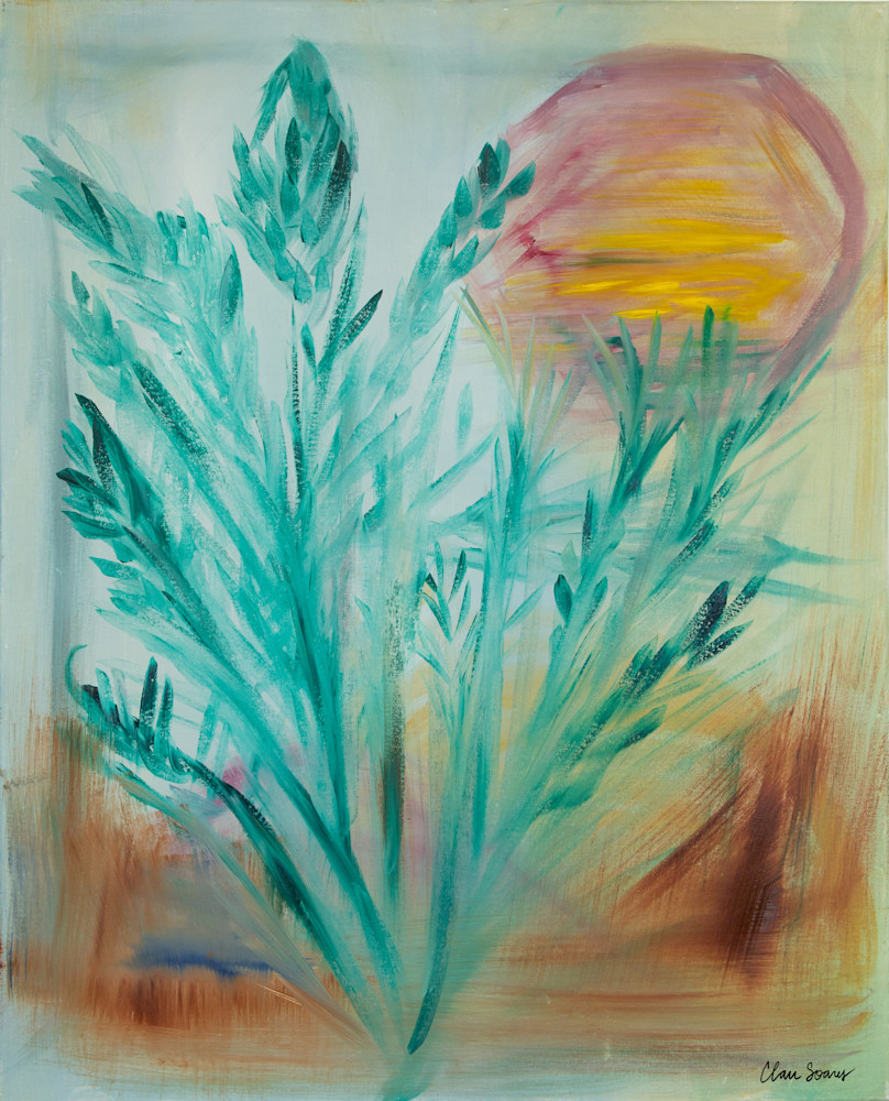 Blooming In The Desert Art | Clau Soares