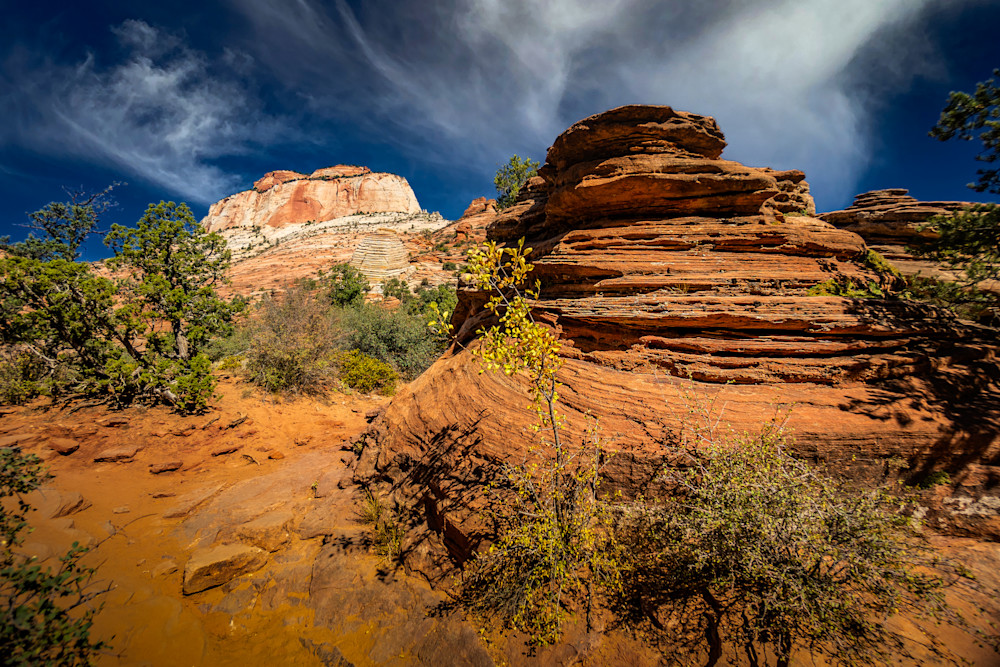 Hiking Zion Photography Art | Lift Your Eyes Photography