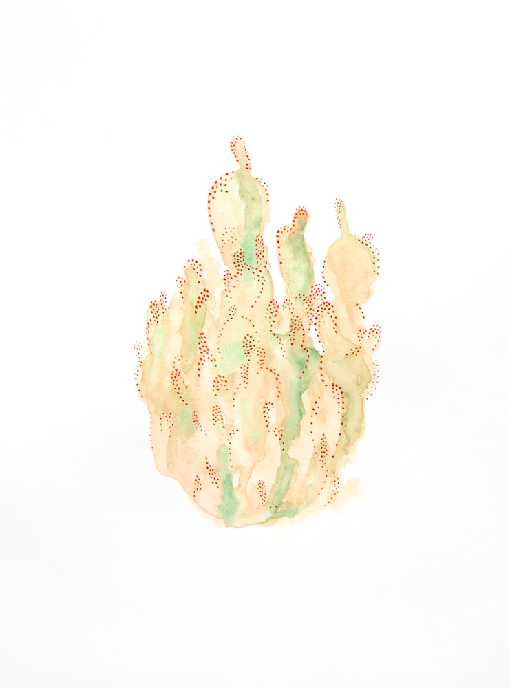 Cactus 6 Art | Megan McManus Art