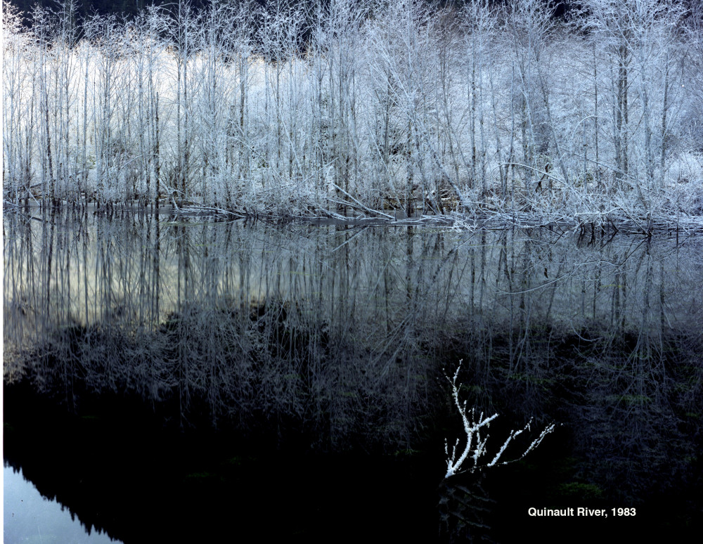 Quinalt River Frost 1980 Sized Photography Art | John Wolf Photo