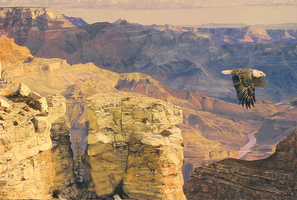 Earthsong   American Bald Eagle At The Grand Canyon Art | Russ Cannizzaro Fine Arts