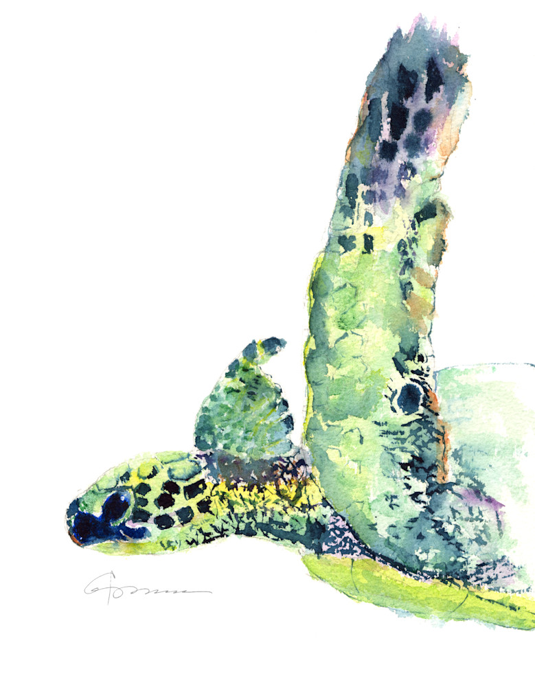Sea Turtle 22 Art | Claudia Hafner Watercolor