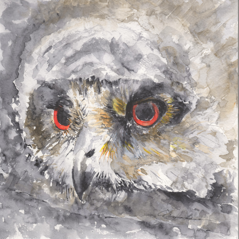 Owlet Watercolor Print | Claudia Hafner Watercolor
