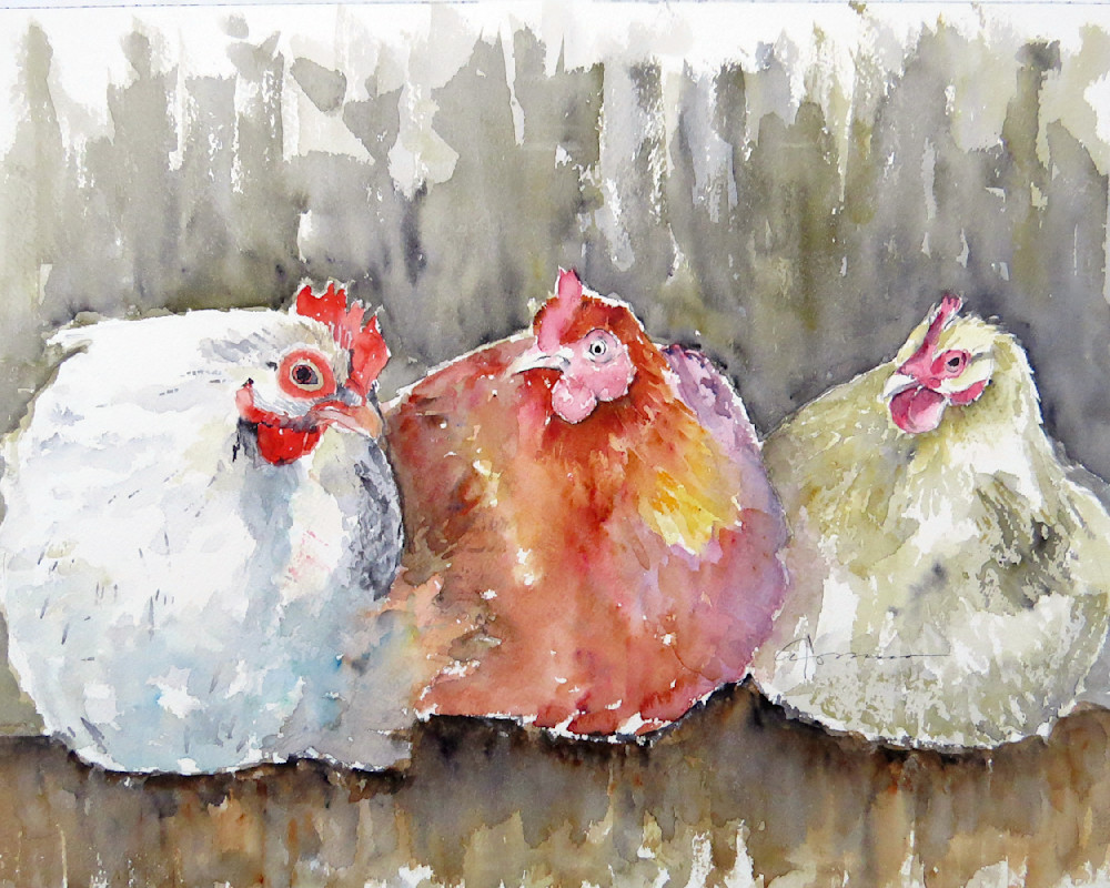 Chickens Three 3 Watercolor Print | Claudia Hafner Watercolor