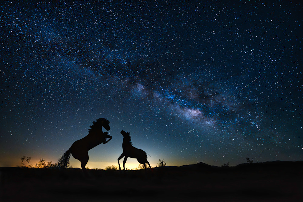 Milky Way Raises Over Borrego Springs Photography Art | zoeimagery.XYZ