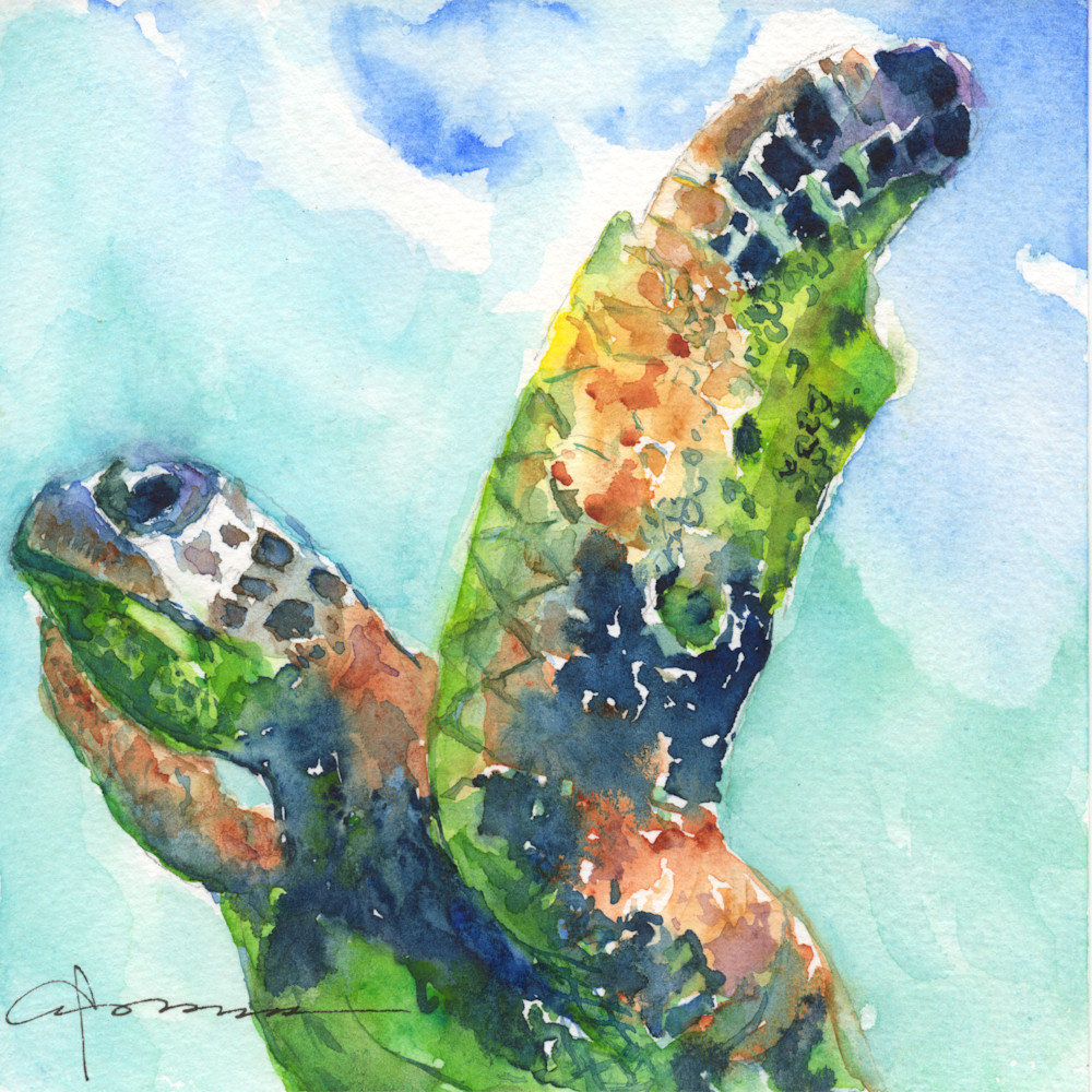 Sea Turtle 27 Watercolor Print | Claudia Hafner Watercolor