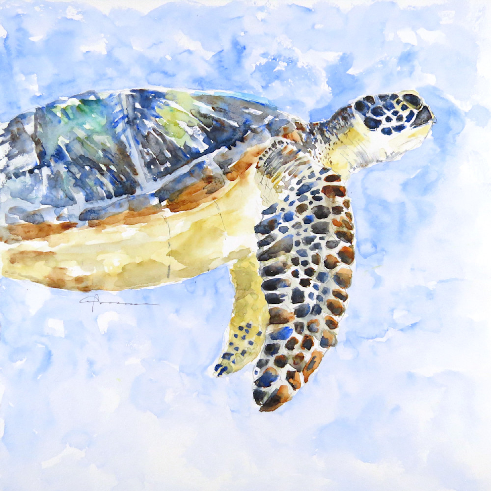 Sea Turtle 25 Watercolor Print | Claudia Hafner Watercolor
