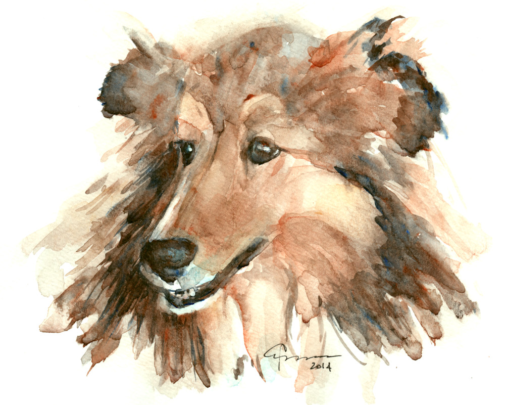 Shetland Sheepdog Art | Claudia Hafner Watercolor