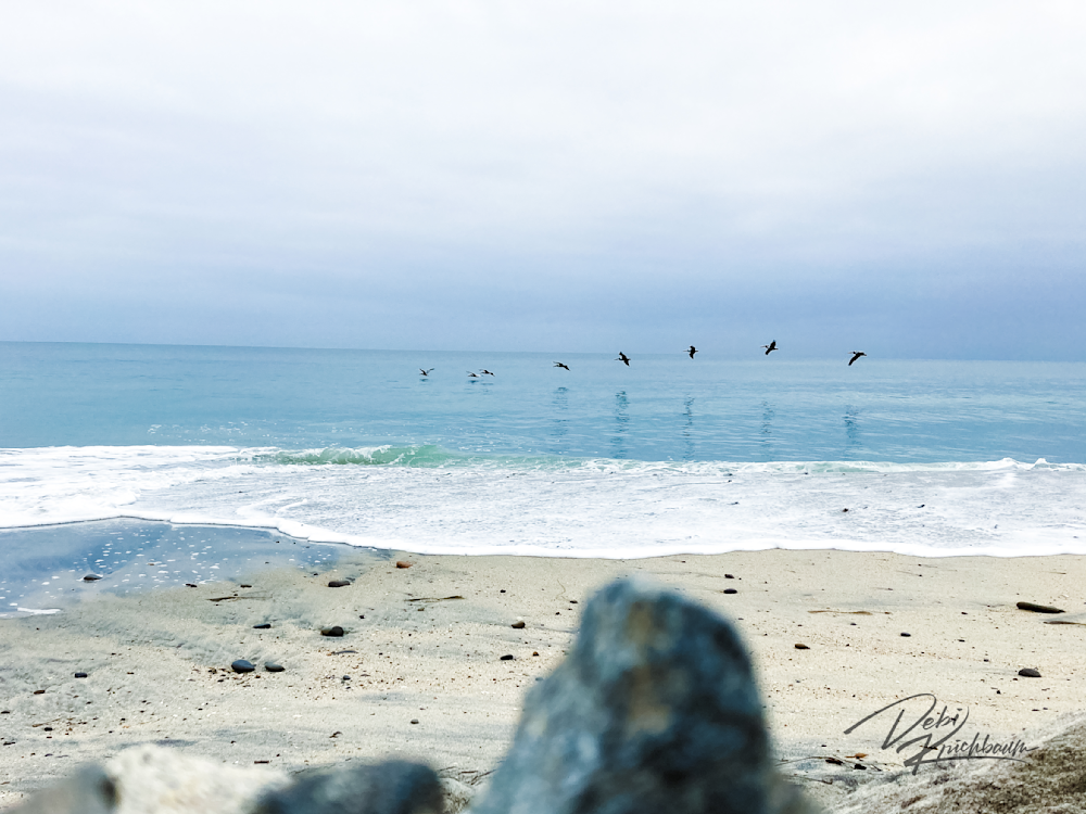 Carlsbad Beach Series Art | Whiskers and Waggers