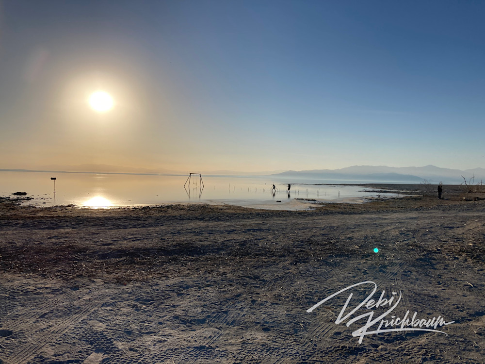 Salton Sea Sunset Art | Whiskers and Waggers