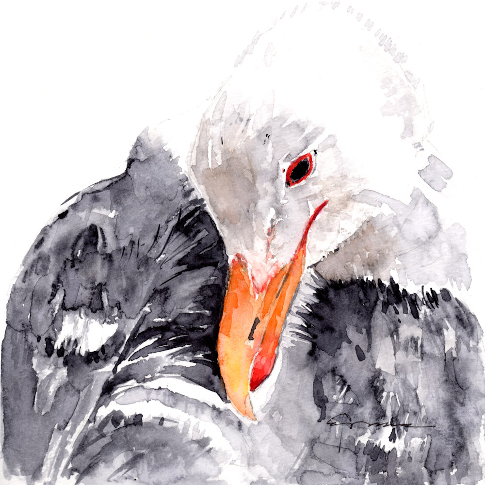 Albatross Watercolor Print | Claudia Hafner Watercolor
