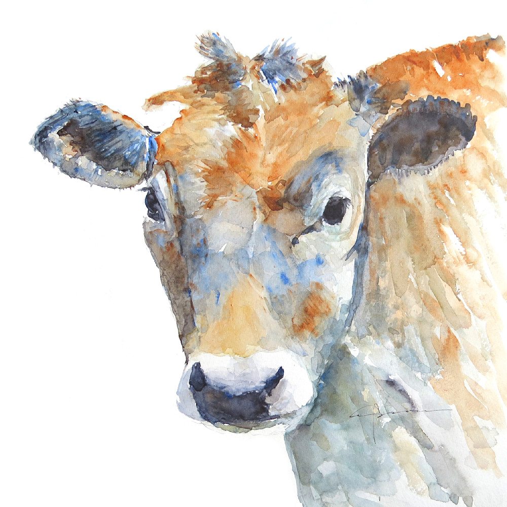 Cow Watercolor Print | Claudia Hafner Watercolor
