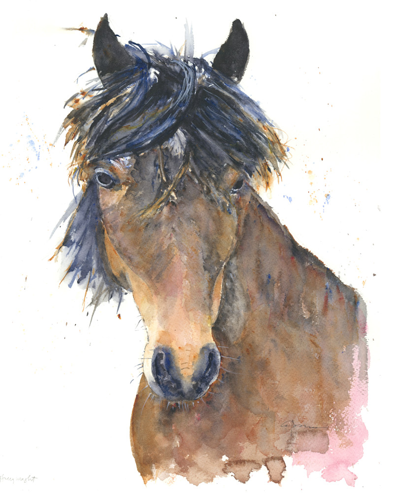 Dark Horse Watercolor Print | Claudia Hafner Watercolor
