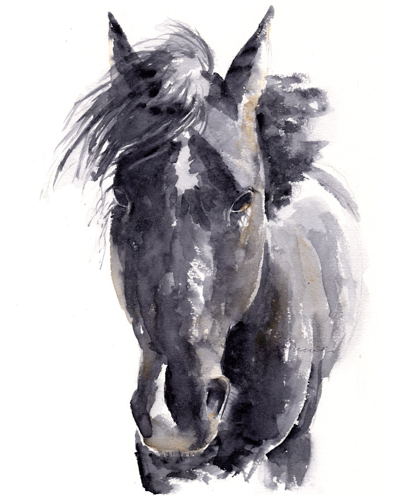 Black Horse Art | Claudia Hafner Watercolor