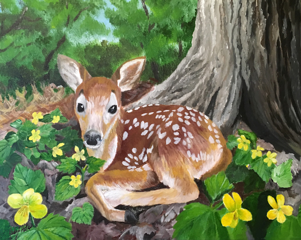 Fawn Surrounded By Yellow Violets Art | Judy's Art Co.