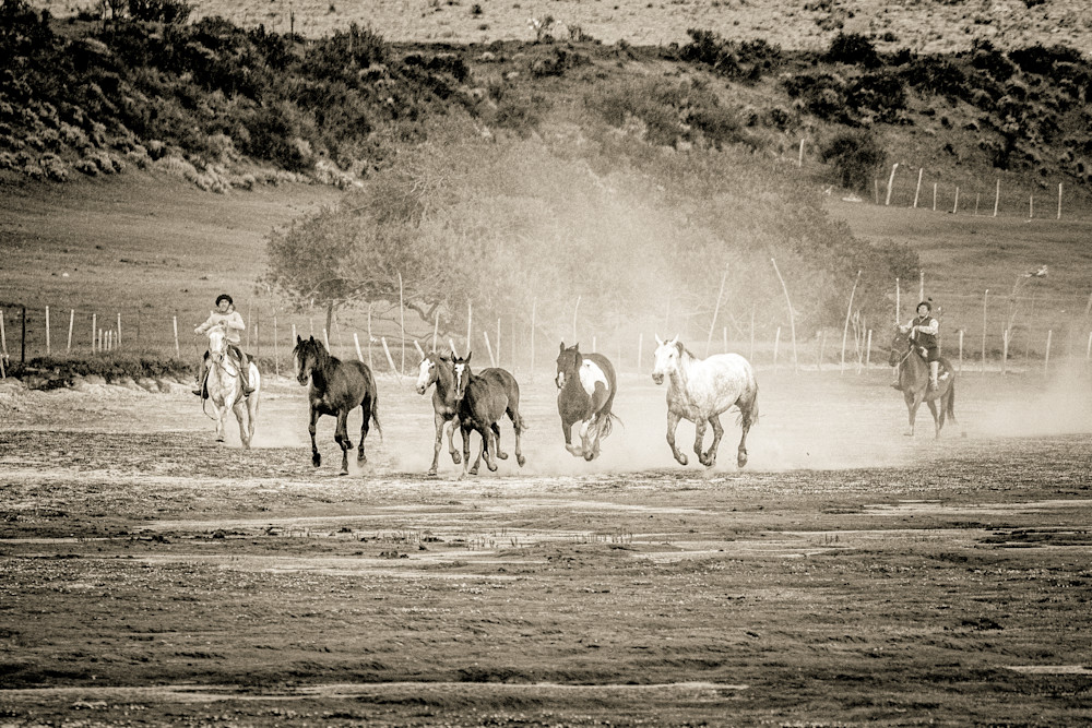 Rawhide In The Dust Photography Art | Patricia Claire Photography