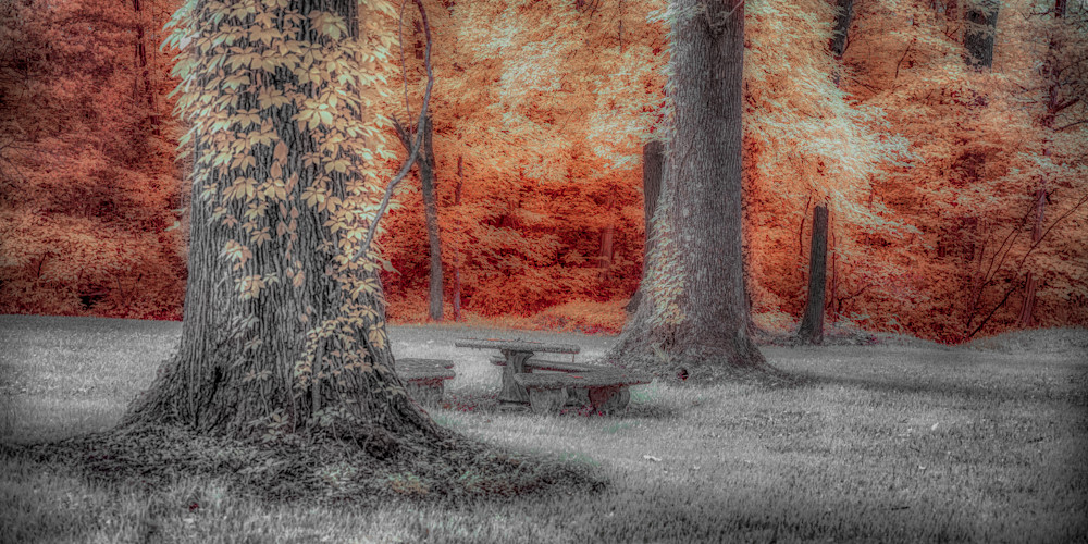 Colorful Picnic