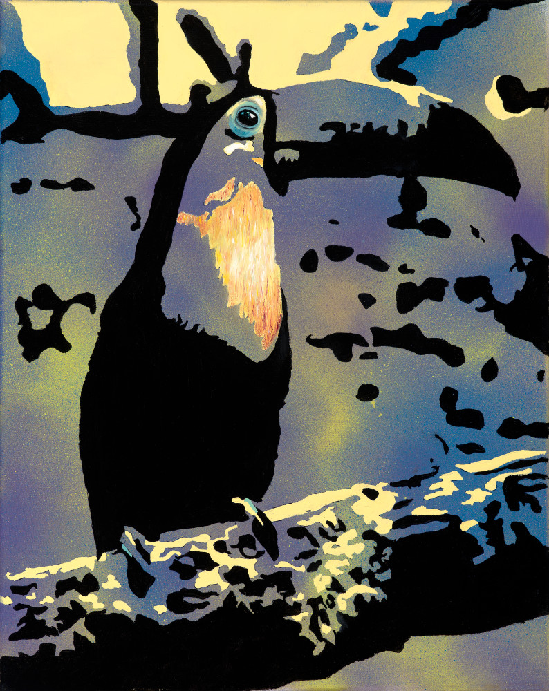 Psychedelic Toucan Art | Eric Reou