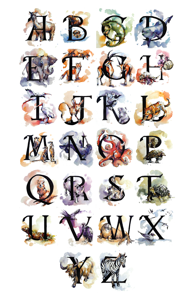 Alphabet Animal Poster Art | Meghan Taylor Art