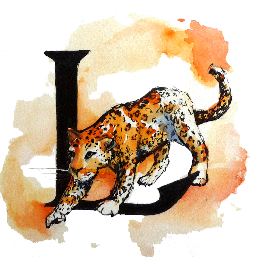 Leopard Art | Meghan Taylor Art